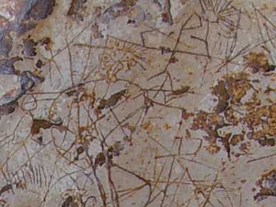 Si riconoscono ben 33 �figure antropomorfe�, cio� raffigurazioni umane che ricordano i disegni dei bimbi che stanno imparando a impugnare la matita